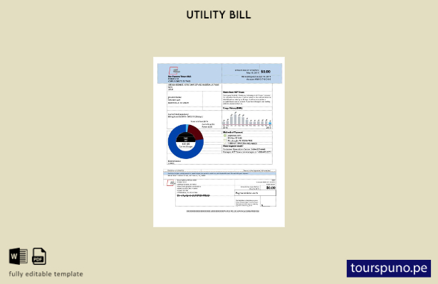 lista para imprimir la plantilla de factura de servicios públicos de electric 12